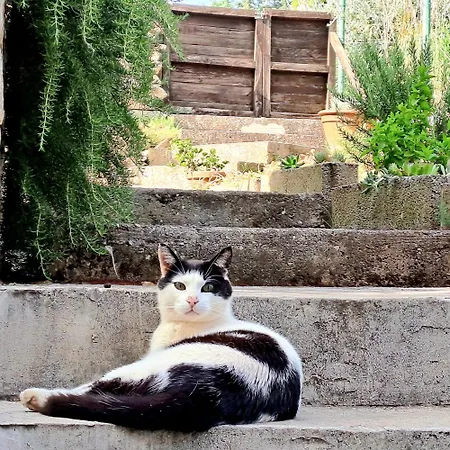 Near The Sea And Port Of Marina Veruda Apartamento Pula