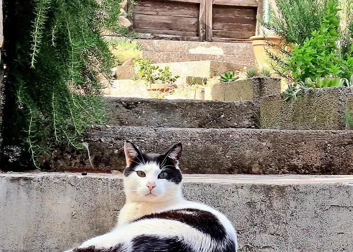 Near The Sea And Port Of Marina Veruda Апартаменти Пула